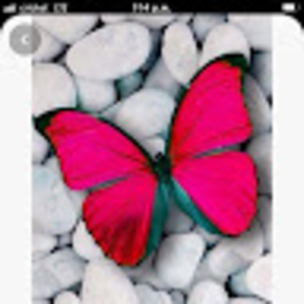 Meet your Posher, Wilka